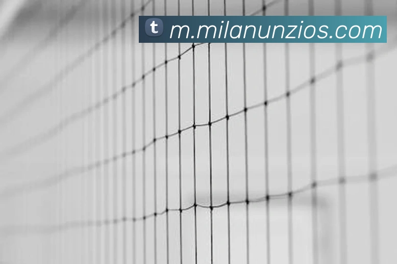 米兰体育平台生态图