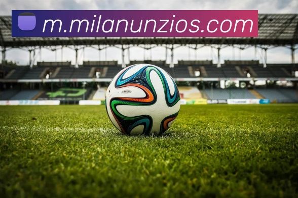 米兰体育APP 封面图